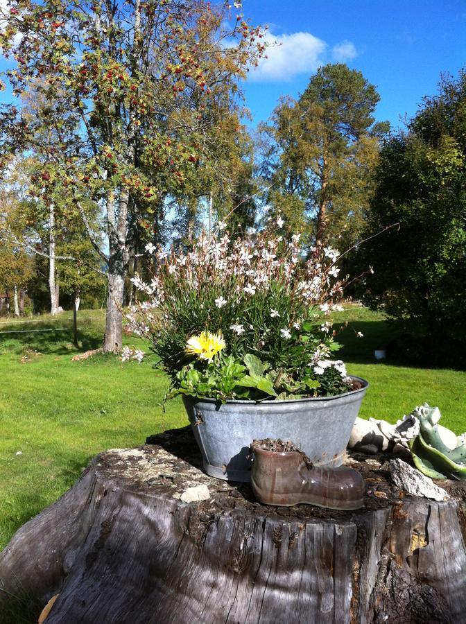 Hoeglunda Gard B&B Lantgard Skanderåsen エクステリア 写真